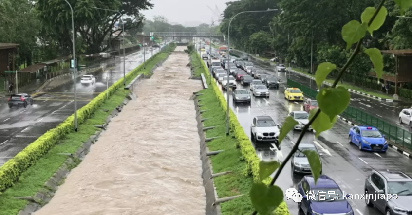 新加坡的雨又憋了一波大招，這些地方都變出壯觀水景