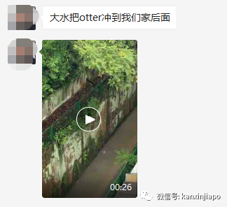 新加坡的雨又憋了一波大招，這些地方都變出壯觀水景