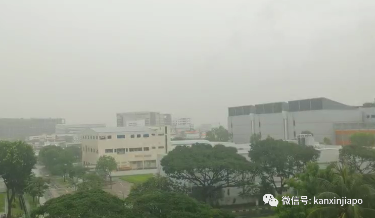 新加坡的雨又憋了一波大招，這些地方都變出壯觀水景