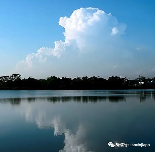 嫌周圍螞蟻太多，男子擅自移動穿山甲，違法了