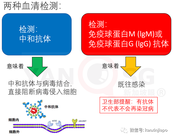 發病後180天仍有抗體，新加坡建築業等康複客工無須定期檢測