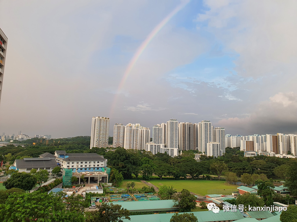 新加坡佳節祥瑞雙彩虹！從副總理到外長，全島都在拍照