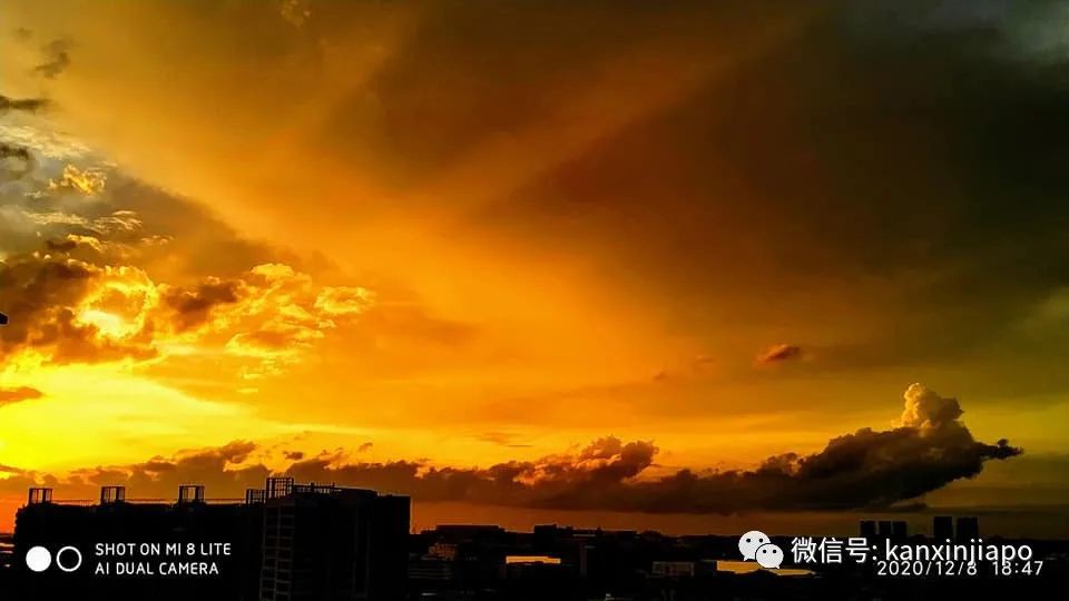 昨天傍晚新加坡出現粉色天空，大波美圖刷遍全網