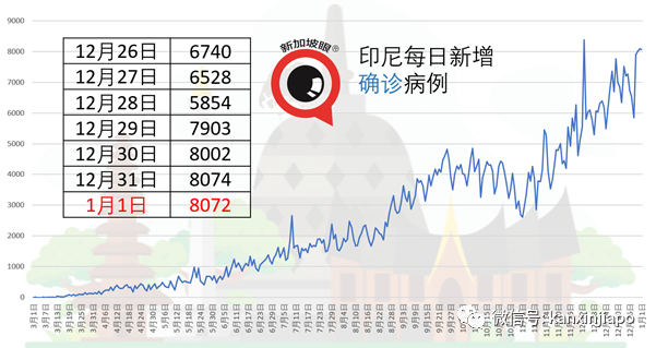 出現更具傳染性的冠病毒株，新加坡禁止南非旅客入境或轉機