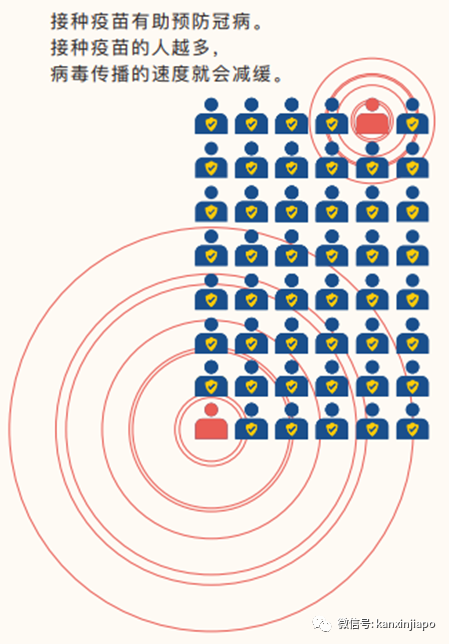 今增9，累計破6萬起 | 新加坡衛生部接種疫苗手冊有中文版了