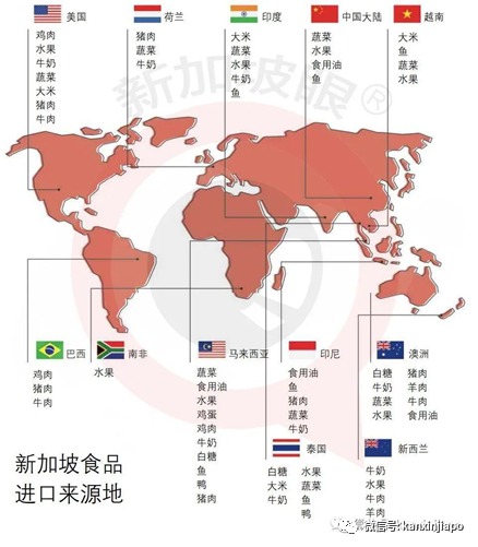 46000噸台灣鳳梨被中國大陸拒之門外！其中25噸下周運抵新加坡