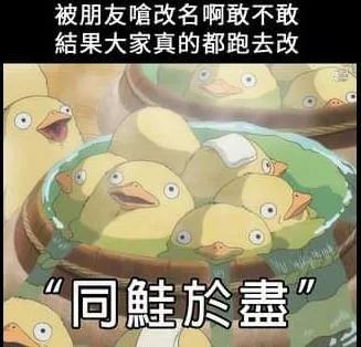 台灣人瘋狂改名引發“鲑魚之亂”！新加坡人改名又是圖什麽？