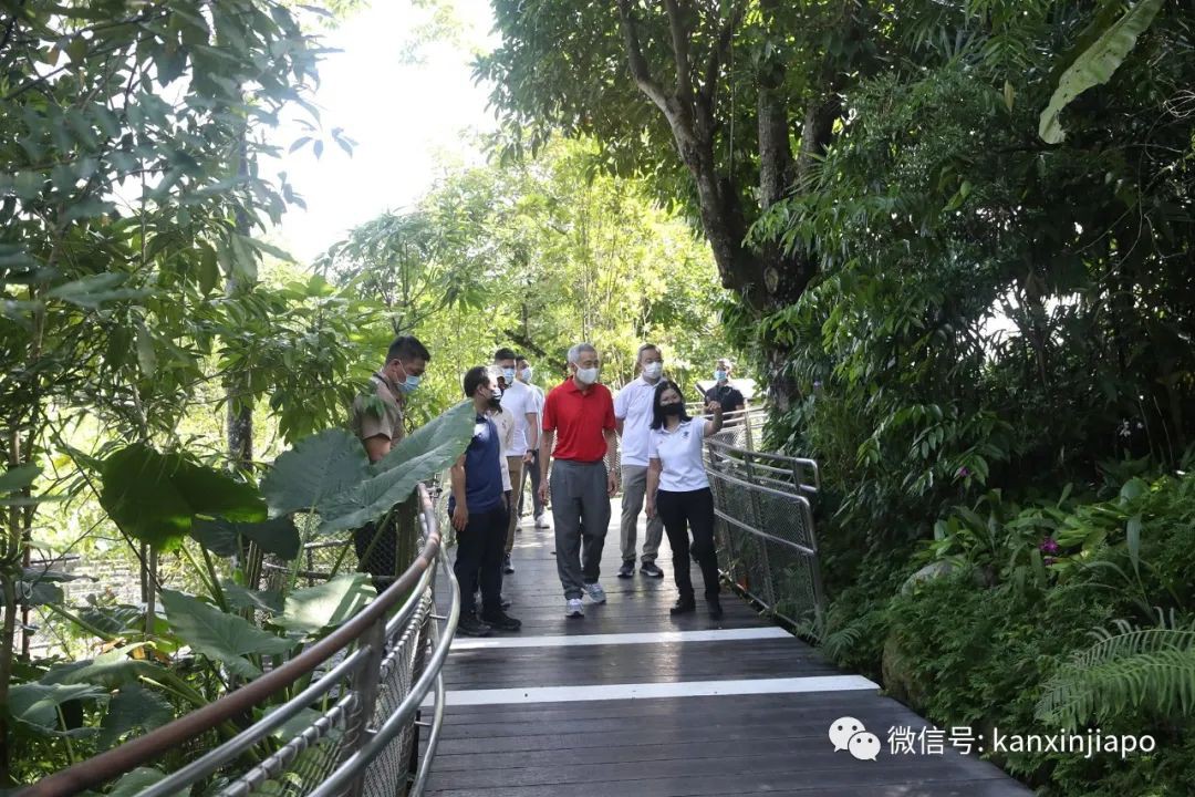 冰淇淋樂園、刺激過山車，新加坡4新景點年底開幕