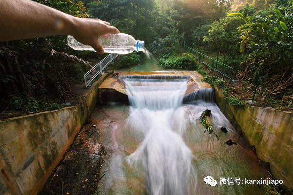 新加坡網紅“瀑布”裝上圍欄，自然公園不再“自然”