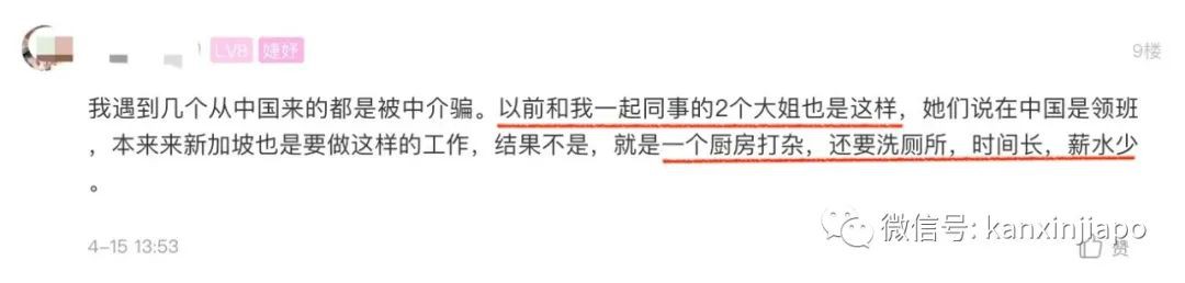 “交了3萬5，來新加坡工作不到2個月，我被辭退了”