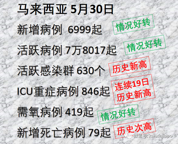 新冠死亡人數暴增460%，馬國設“萬人冢”