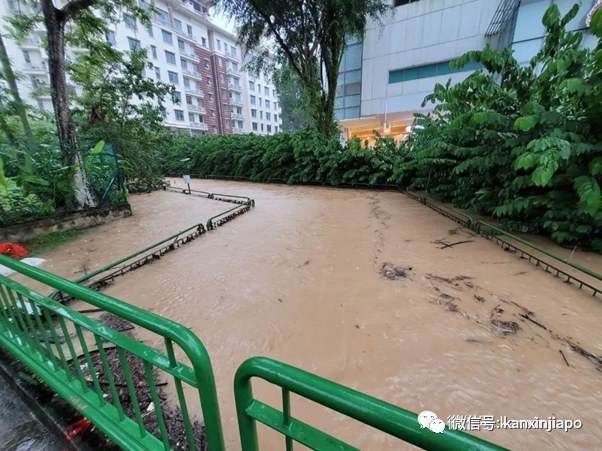 鄭州暴雨已致12人死亡，出動解放軍救援，自救指南得知道！