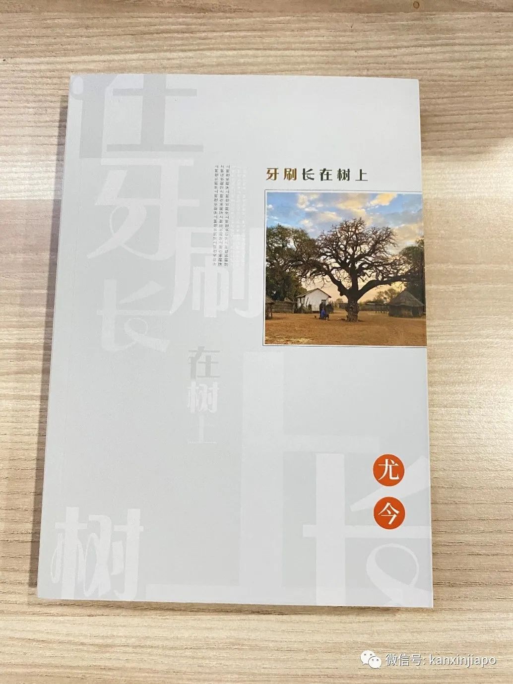 新加坡“江湖”作家，新書帶你環遊世界