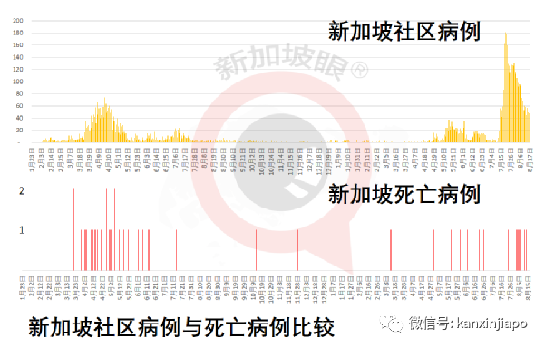 今增53 | 新加坡首例！打了疫苗仍死于新冠；客工感染群大增13起