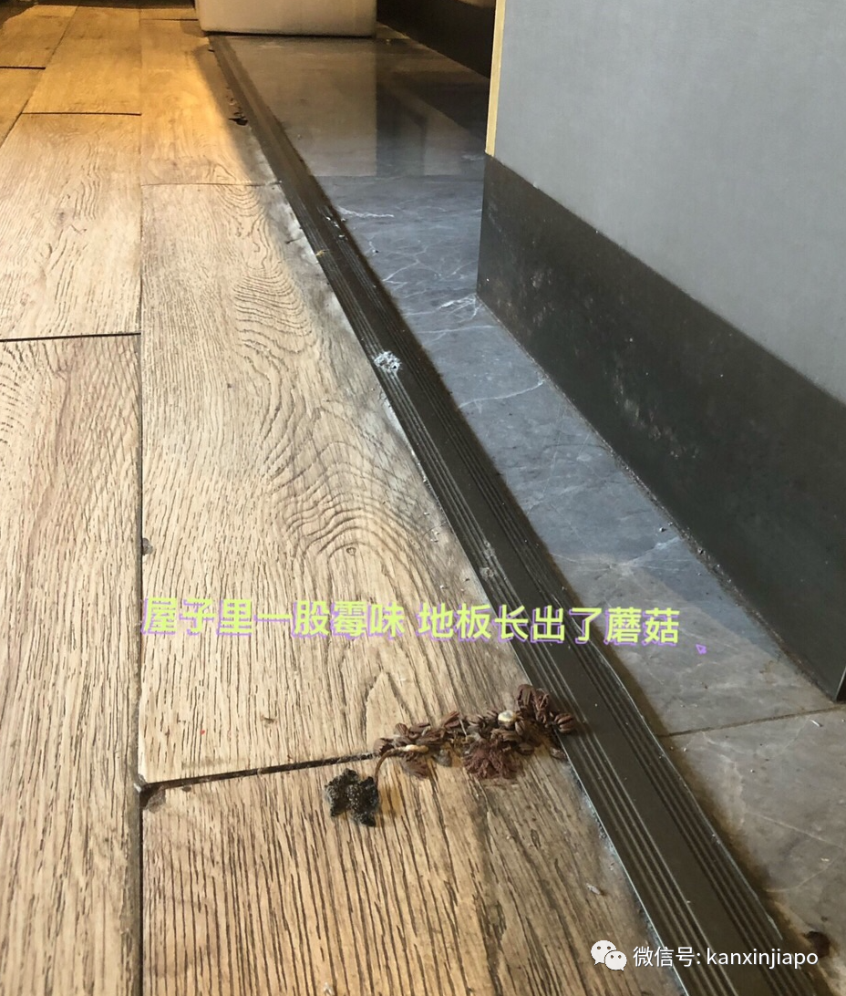 中國使館提醒：這些最新赴華措施須注意！附中國隔離城市費用彙總