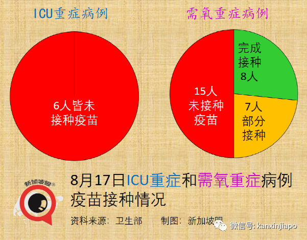 今增53 | 新加坡首例！打了疫苗仍死于新冠；客工感染群大增13起