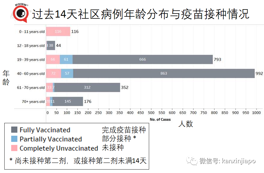 大增349 | 新加坡再現學校感染群；德國旅行走廊計劃今起實施，首批旅客已入境