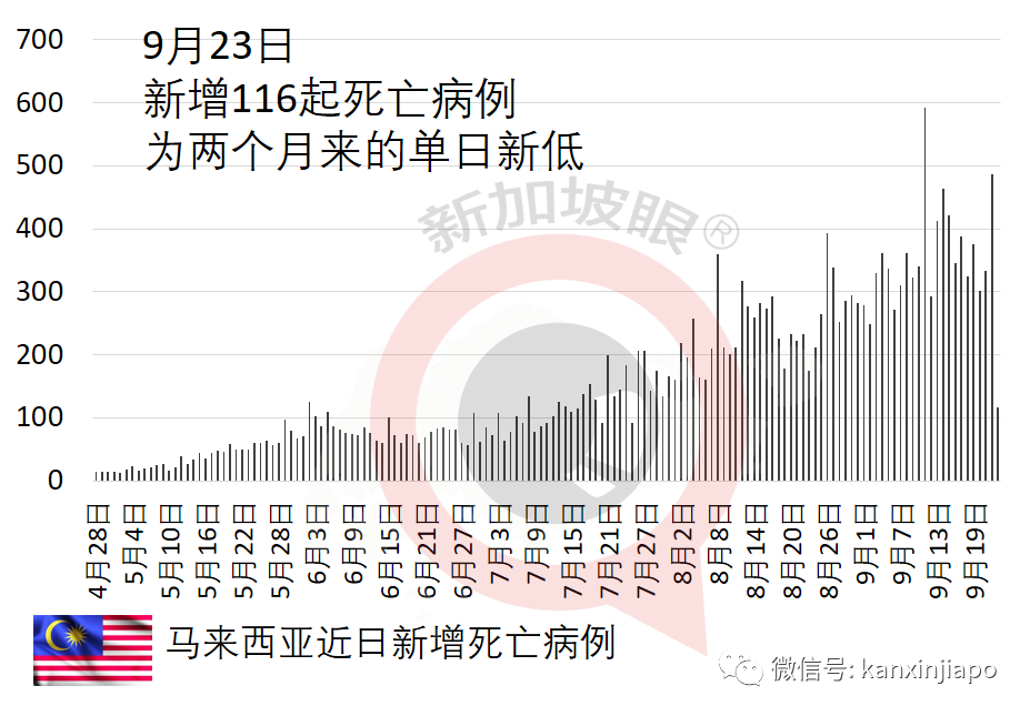 新加坡輝瑞公司感染群大增17起；兩客工宿舍一幼兒園出現感染群