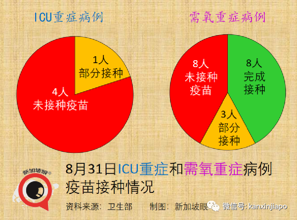 今增180 | 新加坡第三波社區疫情峰值未到，無關聯病例日增500不意外