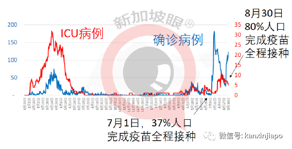 今增180 | 新加坡第三波社區疫情峰值未到，無關聯病例日增500不意外