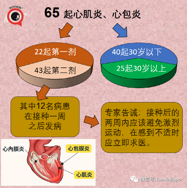 暴增910，創16個月新高 | 新加坡最新mRNA、科興疫苗報告出爐！11827人出現副作用