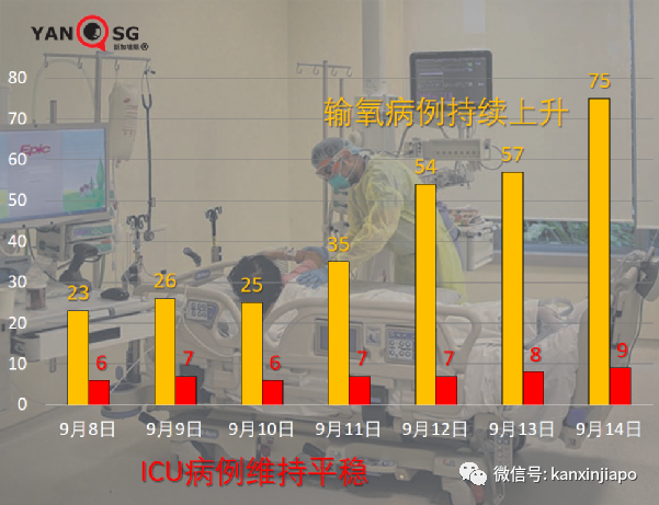 暴增910，創16個月新高 | 新加坡最新mRNA、科興疫苗報告出爐！11827人出現副作用