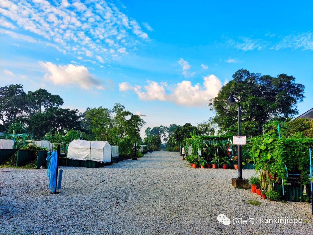 在新加坡這個人口高度密集的島國，田園生活竟是這樣的