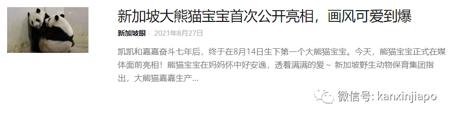 第一只在新加坡誕生的大熊貓寶寶名字公布！