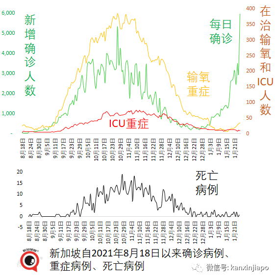 新加坡今增4832起，多國新增病例破紀錄！與輝瑞同系，中國首款mRNA疫苗免疫反應高達95%