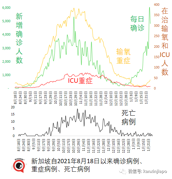 兩針輝瑞面對奧密克戎防護率僅50%；成爲密接怎麽辦？攻略來了