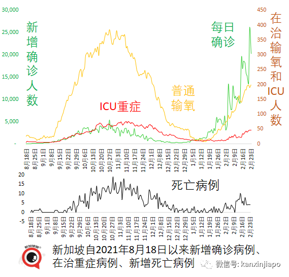 飛中國“最後”一個航班遭熔斷！有人准備包機回國；新加坡緊急叫停進一步松綁措施