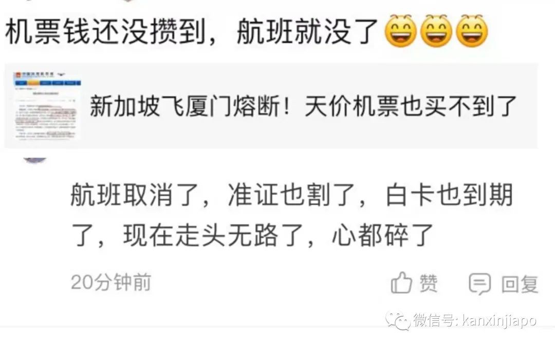 飛中國“最後”一個航班遭熔斷！有人准備包機回國；新加坡緊急叫停進一步松綁措施