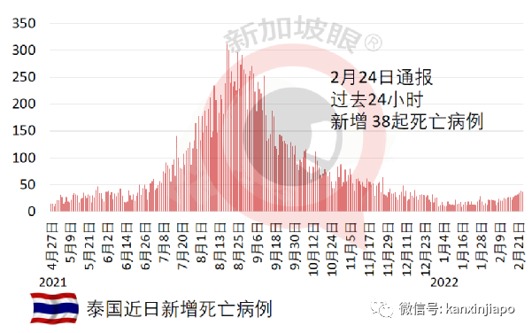 日增創新高，馬國政府承諾：海外公民很快能回家；抗疫部長確診住院