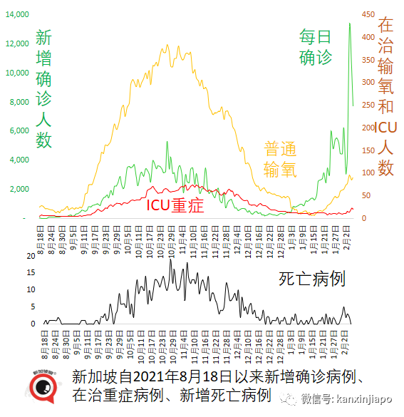 今增7806，破40萬 | 飛中國航班7人確診被熔斷！貿然開放或造成清零區200萬人死亡