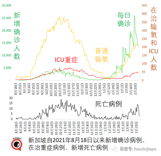 今增24080，死亡11例 | 33人買回中國機票被騙滯留；提出“中國式共存”新概念