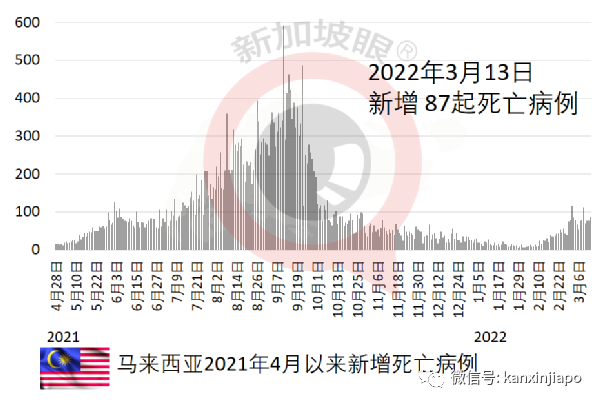 新加坡疫情期間總體死亡反而減少，專家：死于流感、意外的人少了