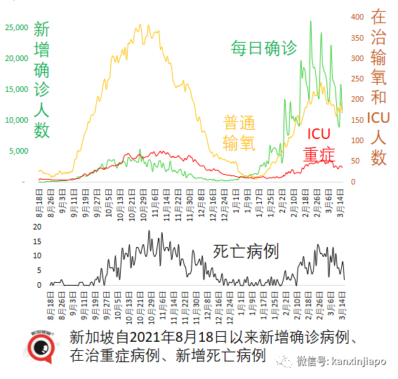 今增10713+12｜繼deltacron後又現新型變異毒株；新加坡出入境旅客人數大增