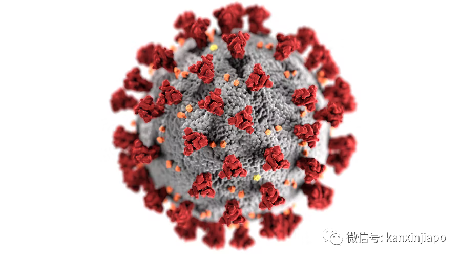 新加坡病例破百萬大關｜世衛：奧密克戎並非“最終版”毒株，疫情仍會反複