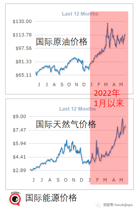 全面漲價！新加坡的食品、電氣、糧油...還會更貴；新元兌人民幣彙率微跌回升