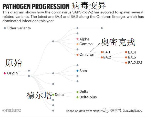 若放棄清零，中國或出現1億確診和160萬死亡；科學家發現新冠每半年變異一次