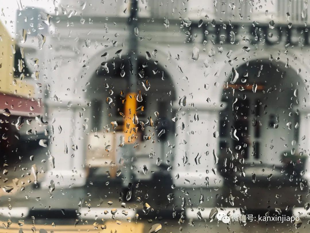 新加坡頻下暴雨是因爲這個現象，下半年減少後霧霾可能重現