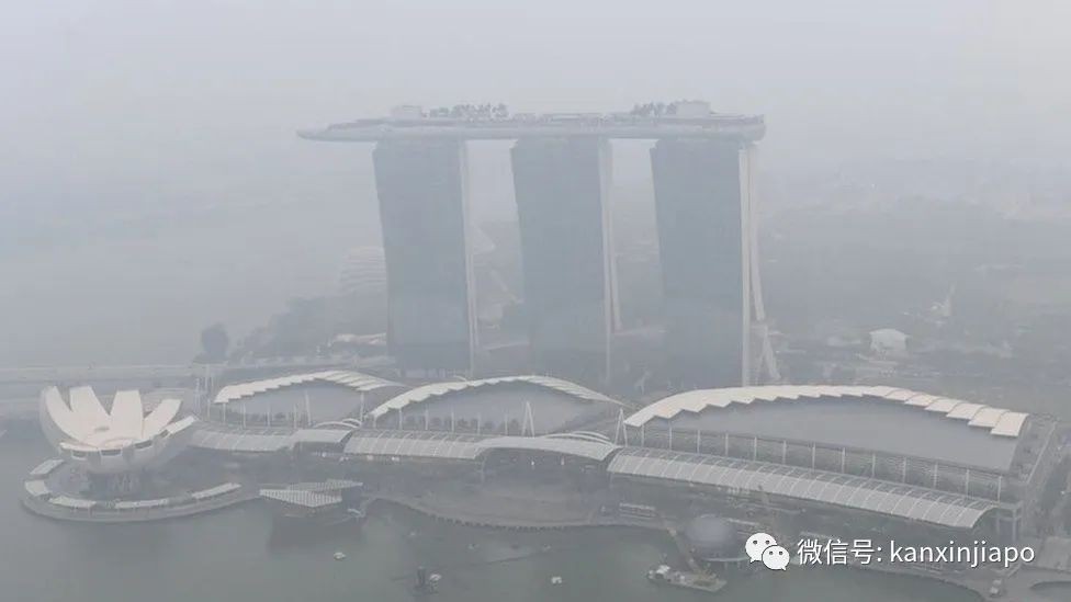 新加坡頻下暴雨是因爲這個現象，下半年減少後霧霾可能重現