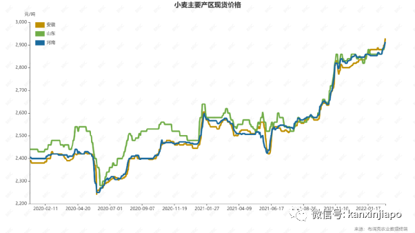 全面漲價！新加坡的食品、電氣、糧油...還會更貴；新元兌人民幣彙率微跌回升