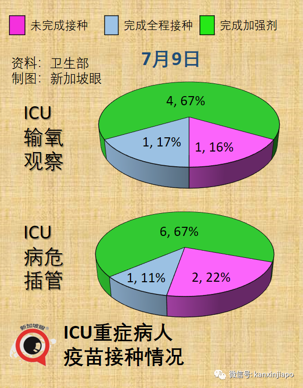 獨家｜新加坡人平均預期壽命縮短0.2歲；超額死亡2238人與疫情次生傷害有關