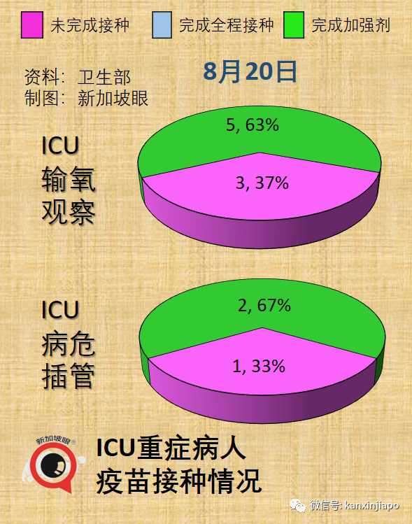 今增1951起|新加坡迎來解封後規模最大室內演唱會，目測有六七千人；冠病增長率創140天新低