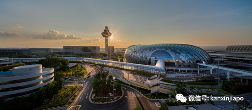 新加坡機場客流量半年翻四倍，達到疫前58%，航空領域大缺人