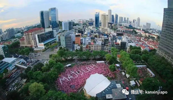 粉紅點群體終于等到新加坡廢除第377A條文，各大政要紛紛發聲...