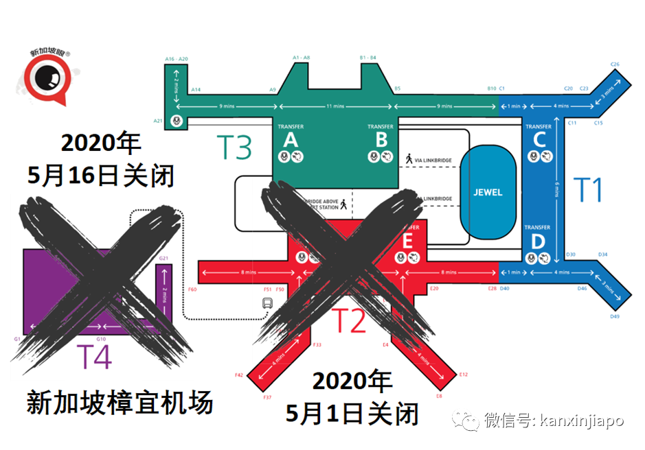 利好！中新航班或將暴增300%；現場直擊樟宜機場T4航站樓滿血複活