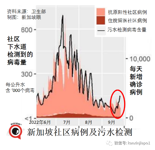 新加坡4歲以下幼童可接種輝瑞疫苗；本地病例大幅度反彈，近期還將持續走高