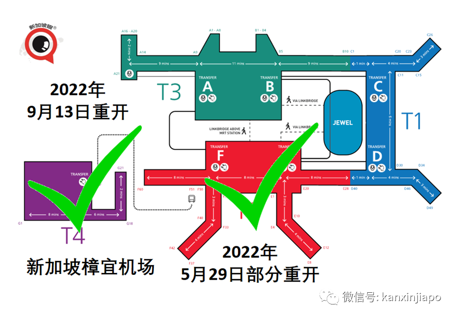 利好！中新航班或將暴增300%；現場直擊樟宜機場T4航站樓滿血複活